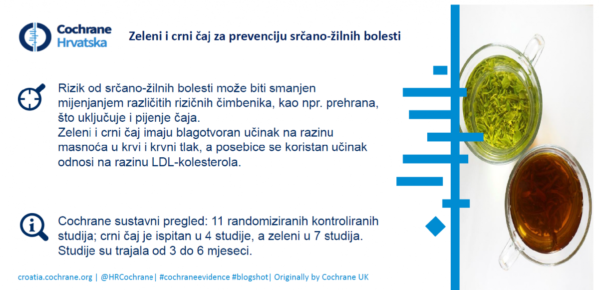 Zeleni i crni čaj za prevenciju srčano žilnih bolesti